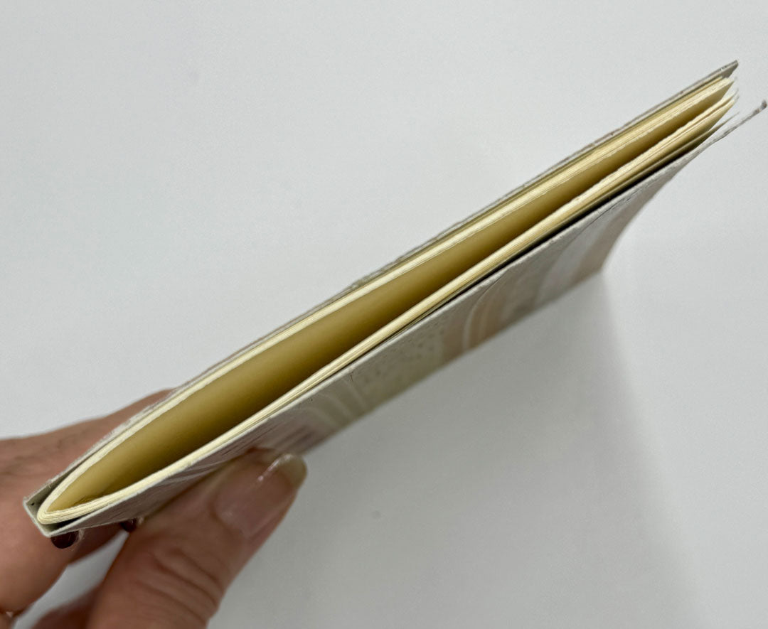 Anteckningsbok Från puppa till fjäril